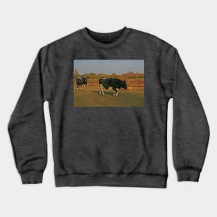 Shetland Cattle, Turbary Common, March 2021 Crewneck Sweatshirt